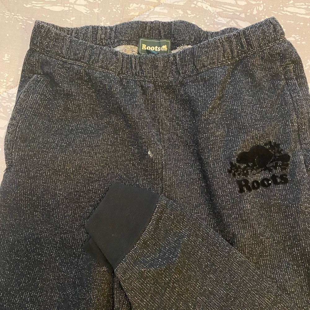 Roots park slim sweatpants